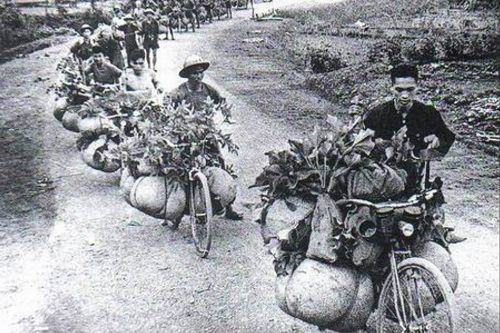 베트남 농민들이 자전거를 이용해 병사들이 먹을 식량을 전장으로 나르고 있다.