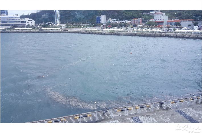 태풍이 북상한 5일 오후 여수 신항 해안가에 부유물이 밀려오고 있다(사진=고영호 기자)
