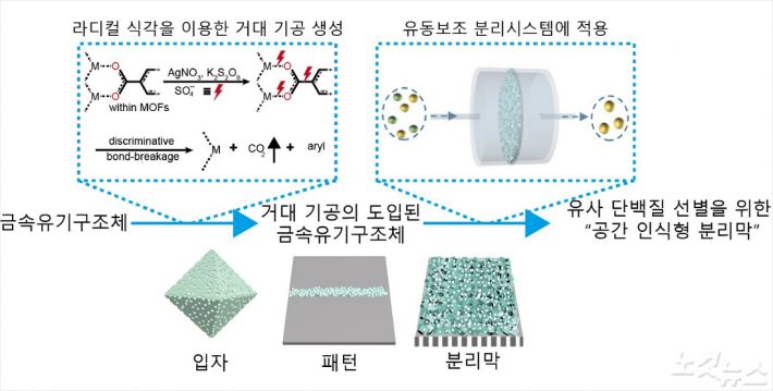 금속-유기 구조체(입자, 패턴, 분리막)에서의 거대기공 형성 및 유사 단백질 분리
