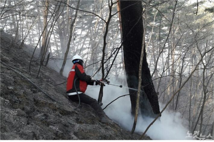 산불 진화. (사진=동부지방산림청 제공)