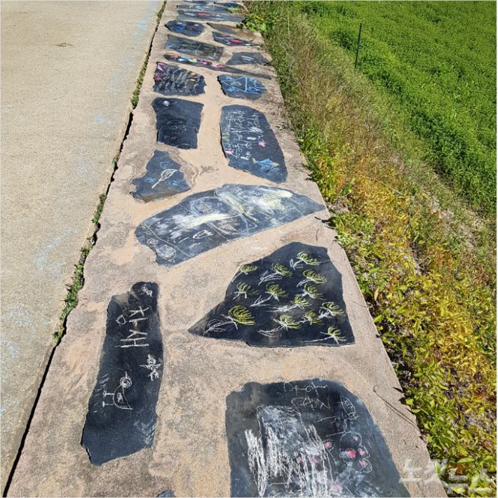 지난달 12일 죽왕초등학교 전교생이 송지호 둘레길 걷기 생태체험학습 진행하면서 느끼고 생각한 점을 송지호 둘레길 바닥에'분필그림'으로 표현했다. (사진=죽왕초 제공)
