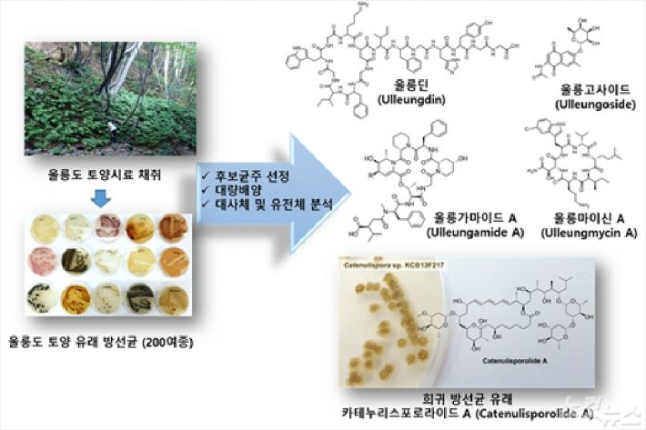 울릉도 유래 토양 방선균으로부터 새로운 생리활성물질 발굴 연구 개요