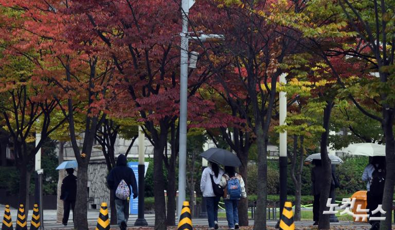 가을비 내리는 캠퍼스