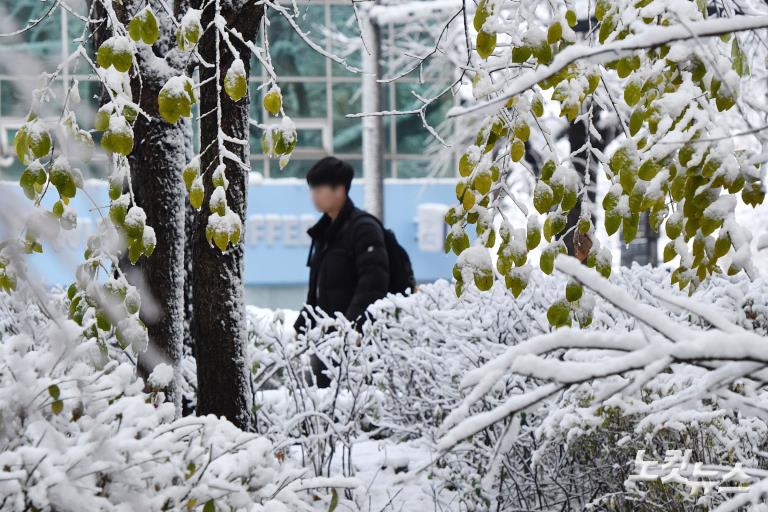 첫눈부터 폭설