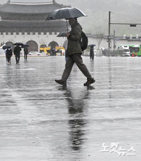 요란한 봄비