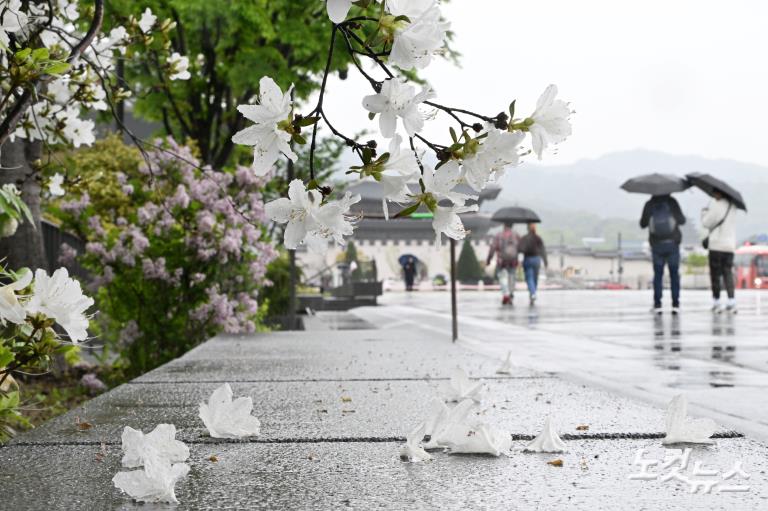 추적추적 내리는 봄비