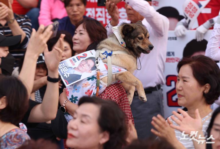 남양주 유세 나선 김문수