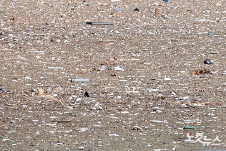 팔당댐에 쌓인 부유 쓰레기