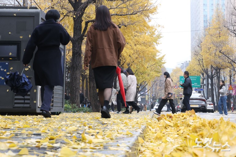 가을비에 젖은 낙엽