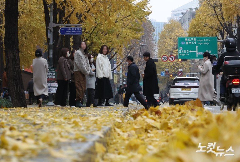 가을비에 젖은 낙엽