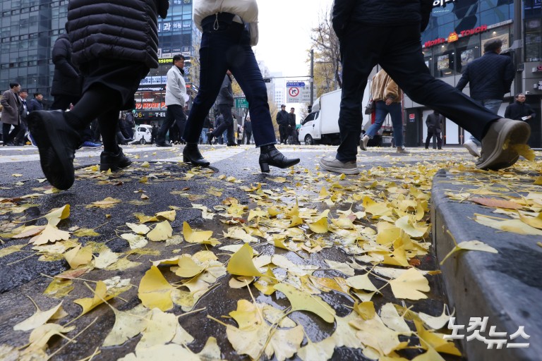 가을비에 젖은 낙엽