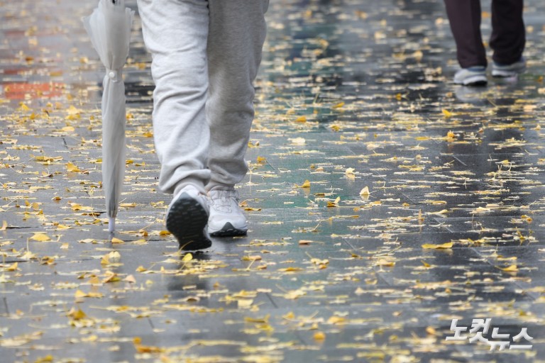 가을비에 젖은 낙엽