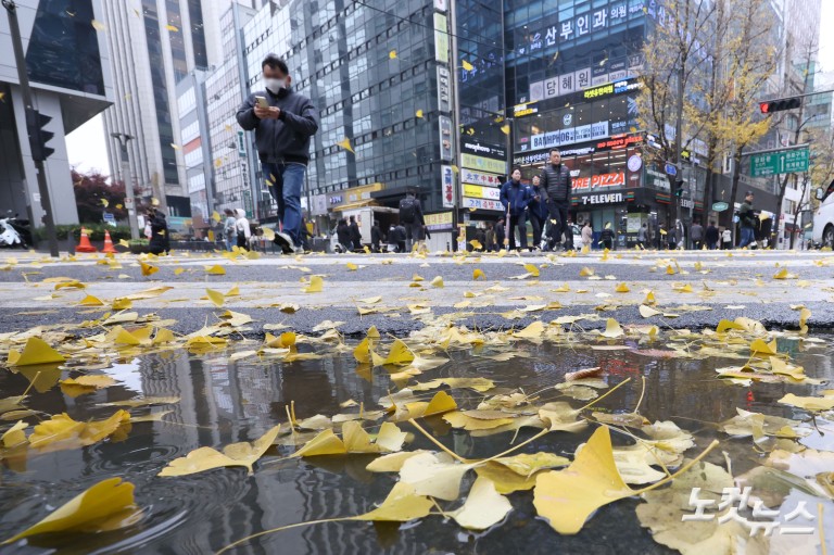 가을비에 젖은 낙엽