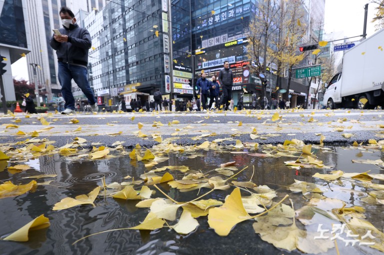 가을비에 젖은 낙엽