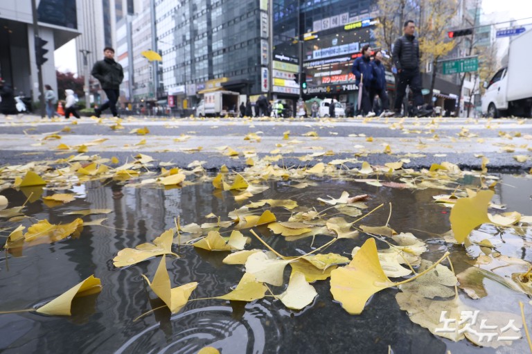 가을비에 젖은 낙엽
