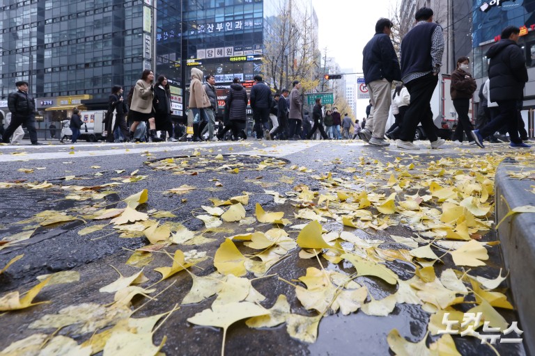 가을비에 젖은 낙엽
