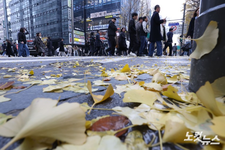 가을비에 젖은 낙엽