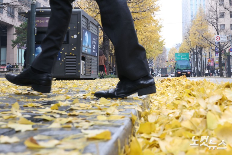 가을비에 젖은 낙엽