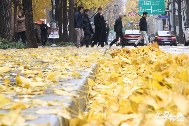 가을비에 젖은 낙엽