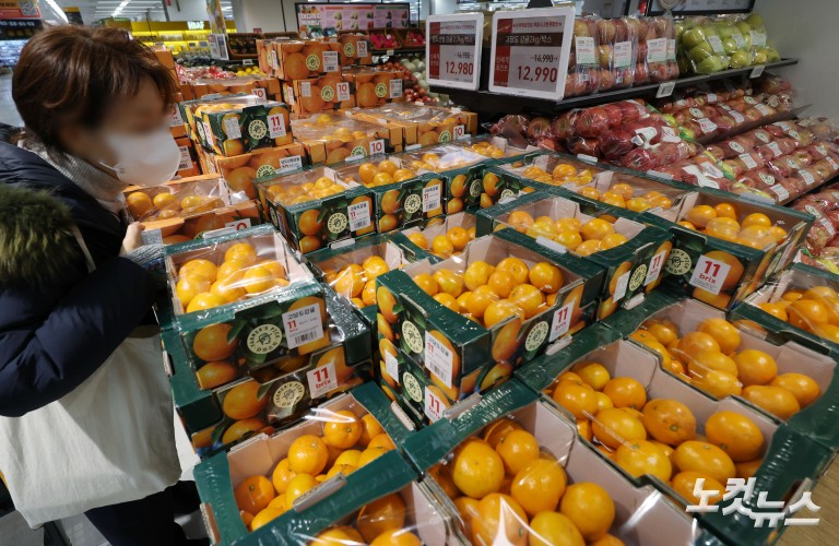 과일값 고공행진...제철 귤값 26% 급등