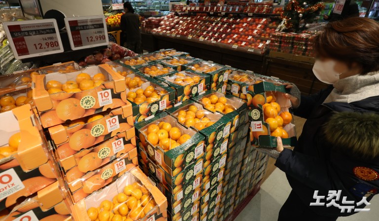 과일값 고공행진...제철 귤값 26% 급등