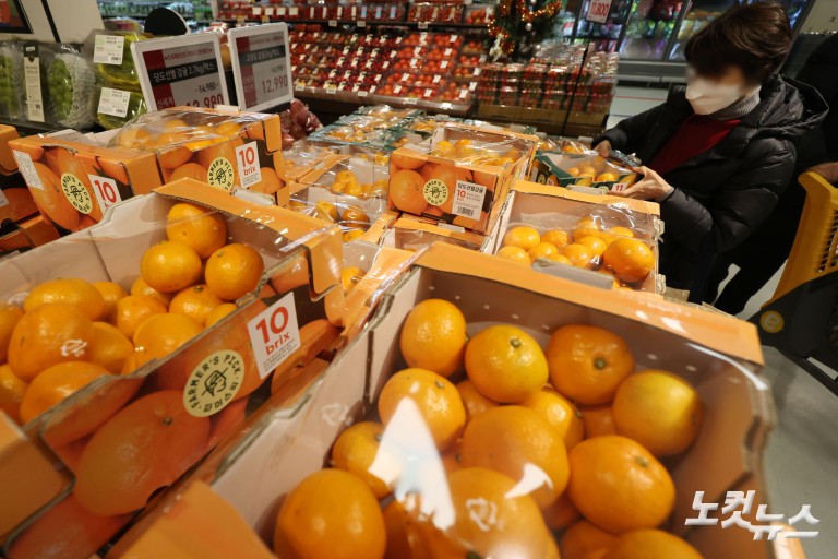 과일값 고공행진...제철 귤값 26% 급등