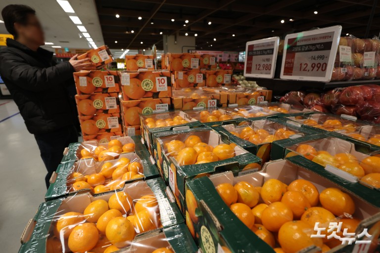 과일값 고공행진...제철 귤값 26% 급등