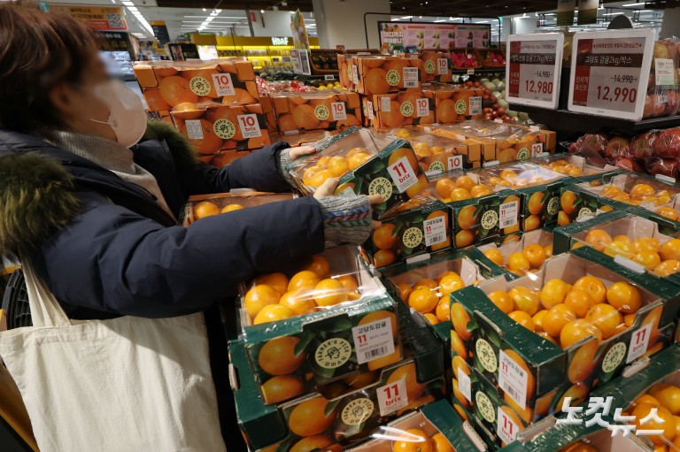 과일값 고공행진...제철 귤값 26% 급등