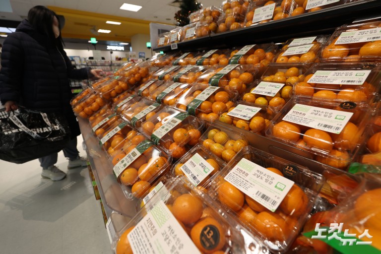 과일값 고공행진...제철 귤값 26% 급등