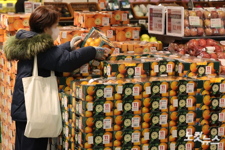 과일값 고공행진...제철 귤값 26% 급등