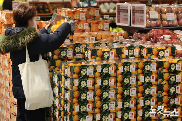 과일값 고공행진...제철 귤값 26% 급등