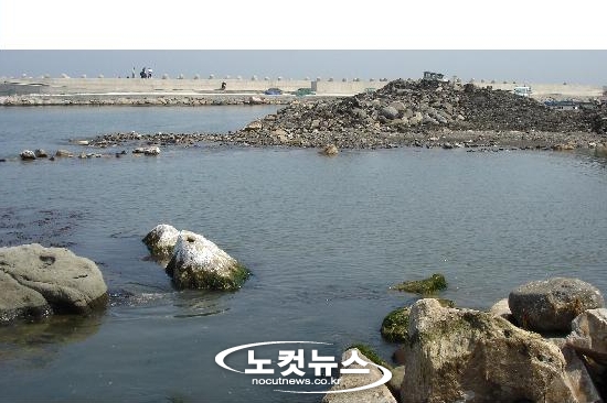 고래뼈1