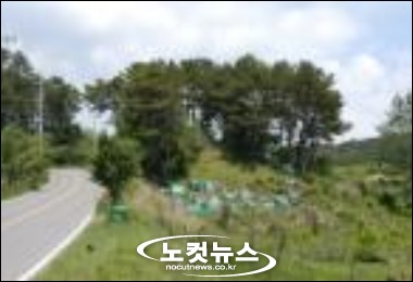 비닐무덤