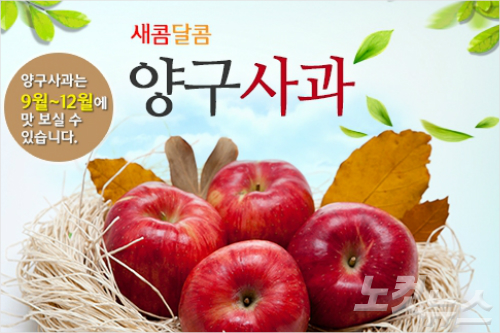 <사진=양구명품관 홈페이지>