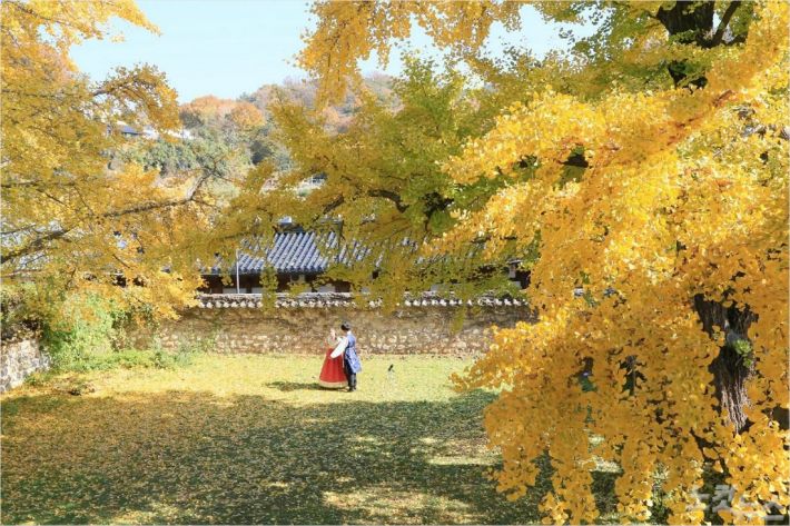 가을 인기 단풍 명소 1위는 전주 한옥마을 - 노컷뉴스