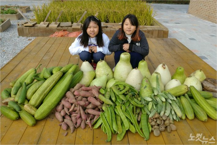 서곡초등학교 학생들이 친환경 프로그램으로 올해 직접 재배하고 수확한 농작물들(서곡초등학교 제공)