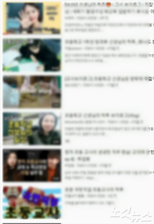 '교사 유튜버'가 올린 영상. (사진=유튜브)