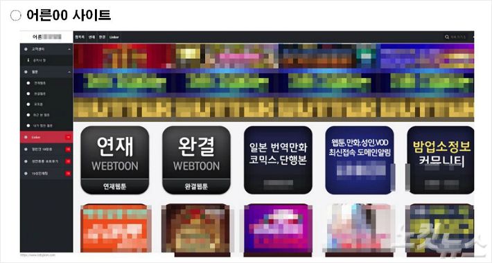 '밤토끼' 빈자리 노린 웹툰 불법 공유사이트 운영자 덜미 - 노컷뉴스