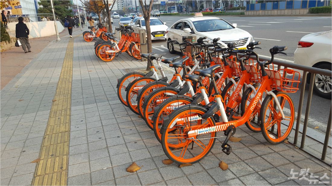 공유 자전거 대여