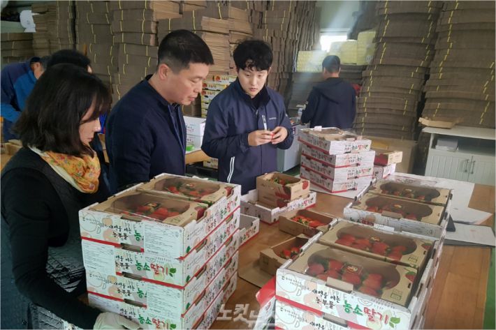 베트남에 수출할 딸기를 선별하고 있는 모습.(사진 = 북구청 제공)