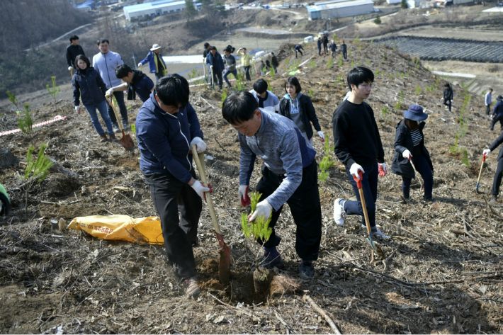 장수군, 기후변화 대응 40만 그루 나무 심기 - 노컷뉴스