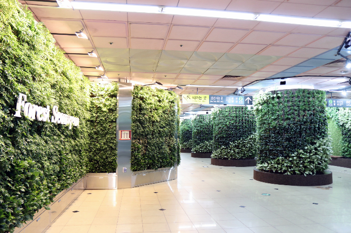 부산 도시철도 서면역 환승통로에 부산시 최대 규모의 지하정원 '숲에서면'을 공식 개장.부산교통공사 제공