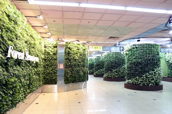 부산 도시철도 서면역 환승통로에 부산시 최대 규모의 지하정원 '숲에서면'을 공식 개장.부산교통공사 제공