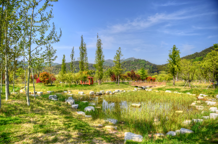 부산시가 약 993㎢ 부지를 녹지로 가꾸기 위한 본격적인 행보에 나선다. 해운대수목원의 모습. 부산시청 제공 