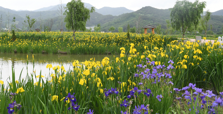 거창창포원. 경남도청 제공
