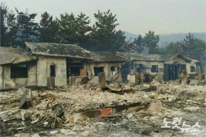 지난 2019년 발생한 대형산불로 잿더미가 된 망상오토캠핑리조트의 처참한 모습. 전영래 기자