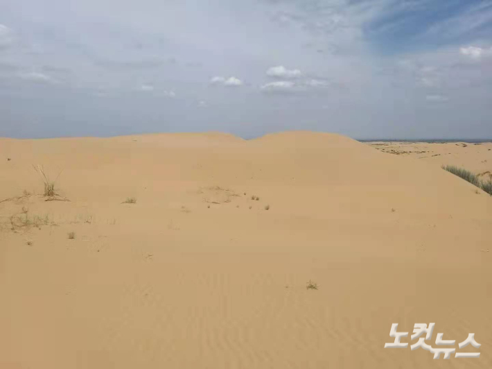 중국 쿠부치 사막. 안성용 기자