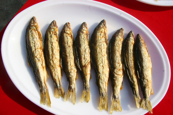 영덕 황금은어. 영덕군 제공