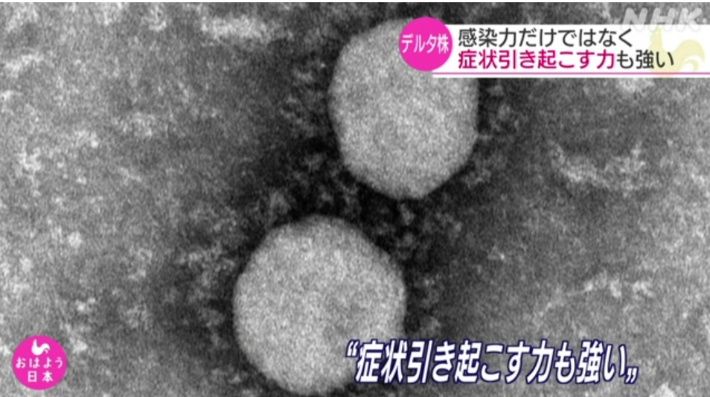 델타 변이가 기존 변이보다 증상 유발 힘이 강하다는 연구 결과. NHK 캡처