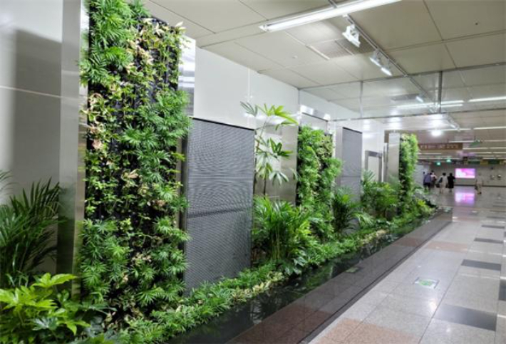 부산 도시철도 사직역 대합실에 꾸면진 실내정원. 부산교통공사 제공 